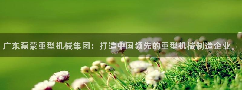 龙八国际官方网