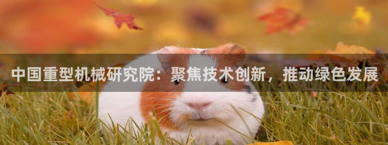 龙八国际花园宝宝