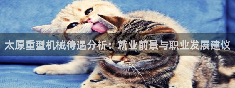 龙八国际新版本