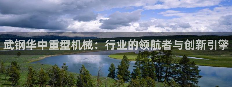 龙八国际网站手机版