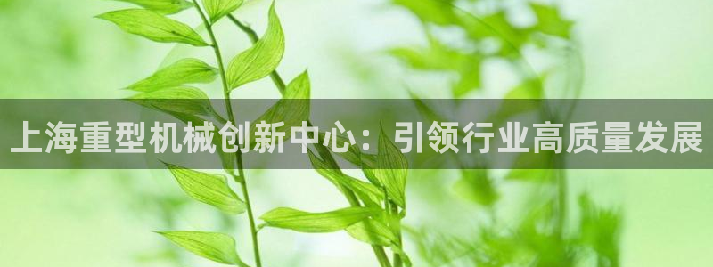 龙八国际代理app