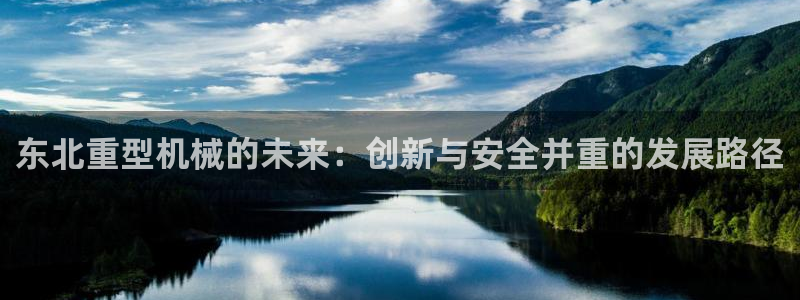 龙八国际集团