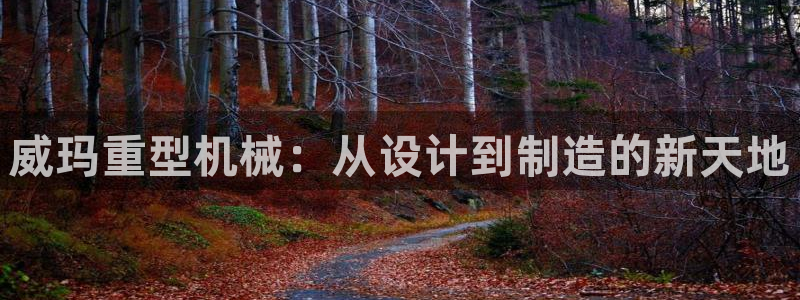 龙八国际app下载官网