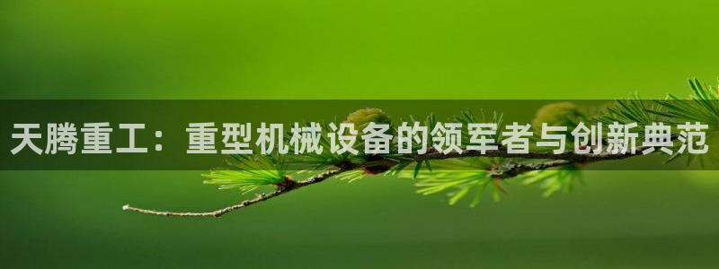 龙八国际娱乐群