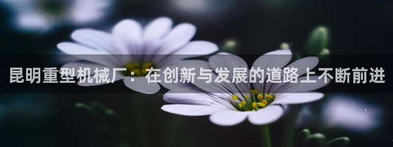 头号玩家龙八国际网址