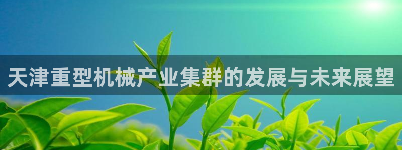 菲律宾龙八国际
