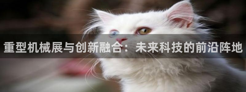 龙八国际娱乐官方