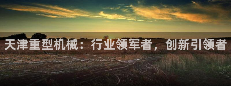 龙八国际头号玩家是谁啊