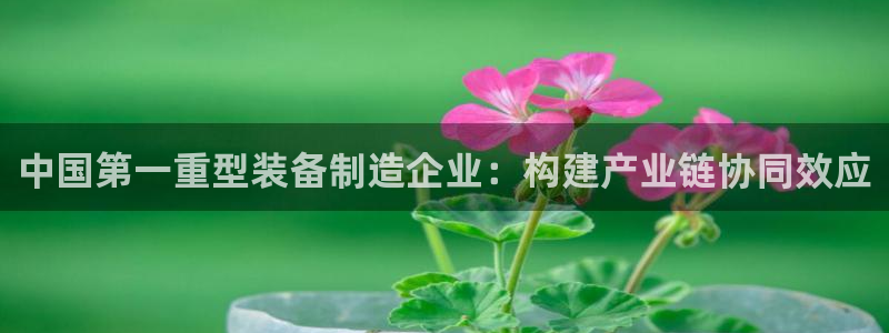 怎么举报龙八国际