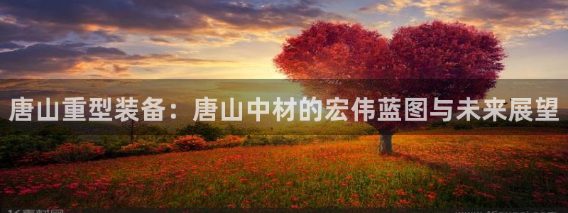 龙八国际long8