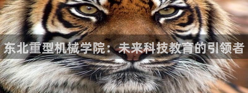 苹果怎么下载龙八国际