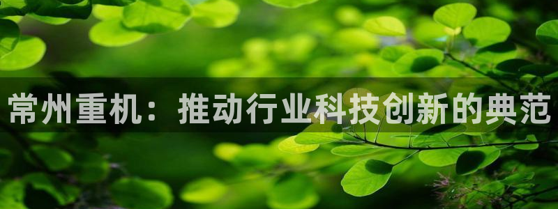下载龙八国际手机端
