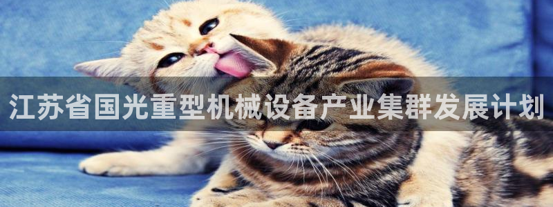 龙八国际手机游戏官网
