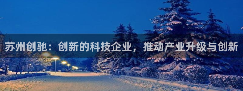 石家庄龙八国际老板是谁