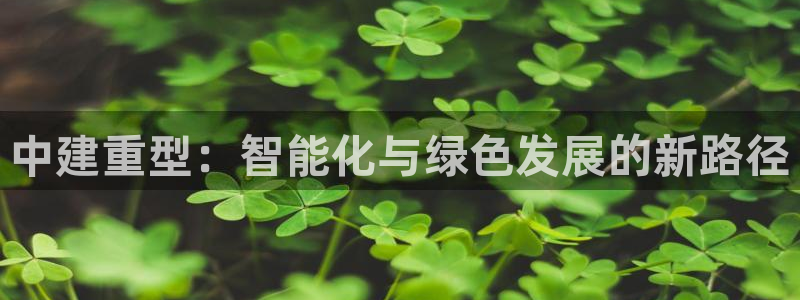 下载龙八国际网站