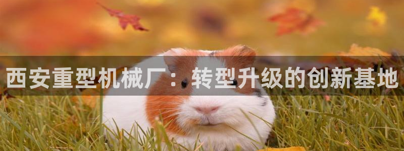 龙八国际平台