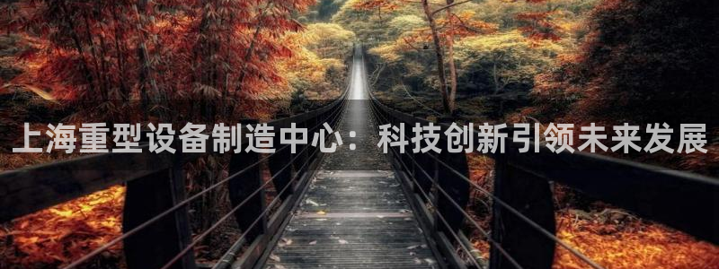 龙八国际可靠