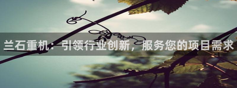 龙八国际手机下载安装