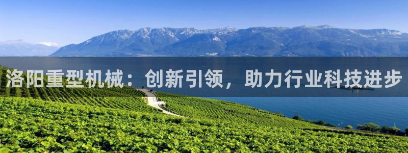 龙八国际安全