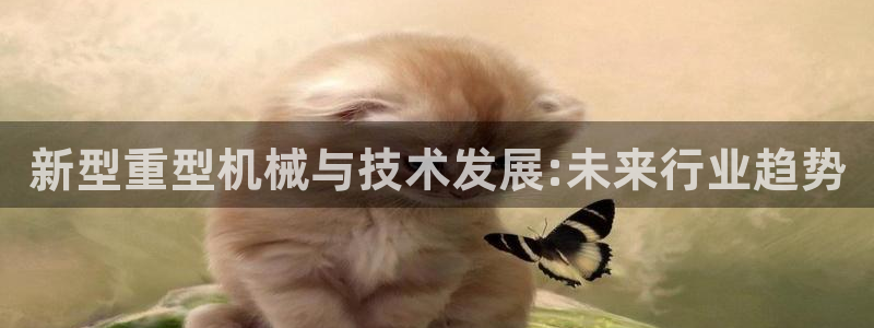 龙八国际现金