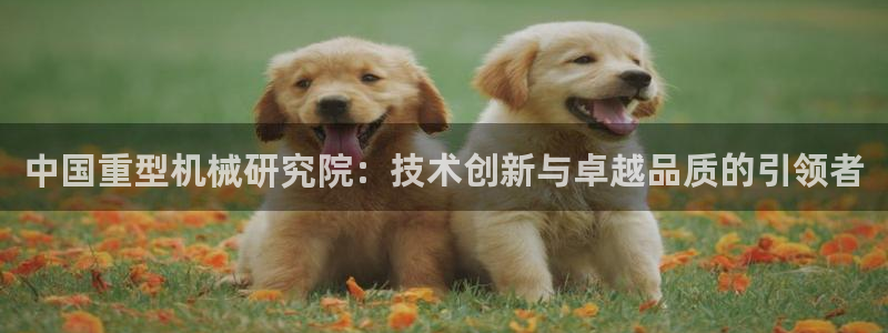 龙八国际手机下载
