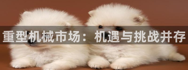 龙八国际娱乐官网手机