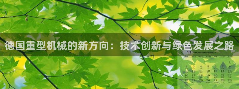 正规龙八国际