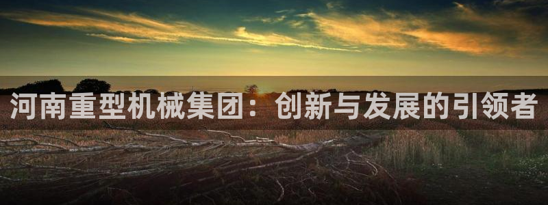 龙八国际app