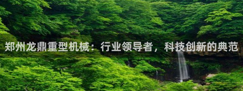 龙八国际苹果版