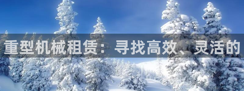 龙八国际网易云音乐