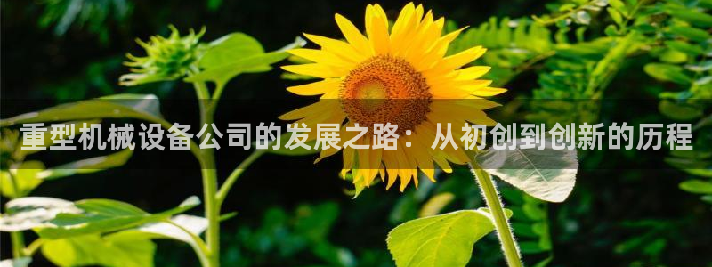 龙八国际pt娱乐老虎机