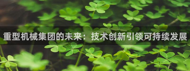 龙八国际服官网