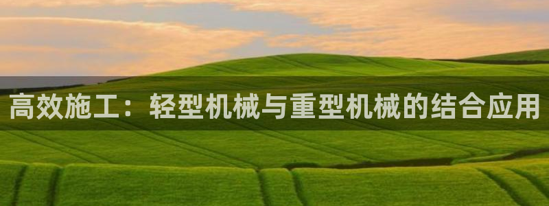 龙八国际害死多少人
