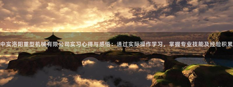龙八国际这个平台在哪里