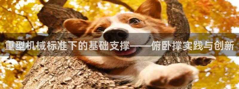 龙八国际服