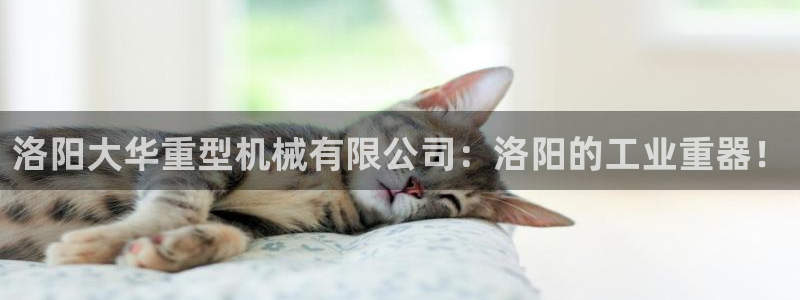 龙八国际服官网下载安装