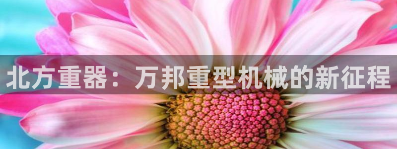 龙八国际贸易有限公司