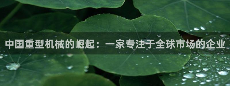 龙八国际有限责任公司