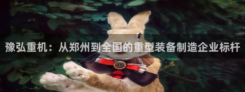 龙八国际改名