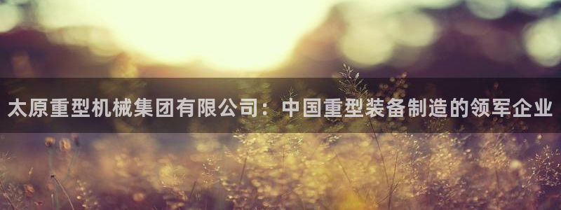 龙八国际视频网站