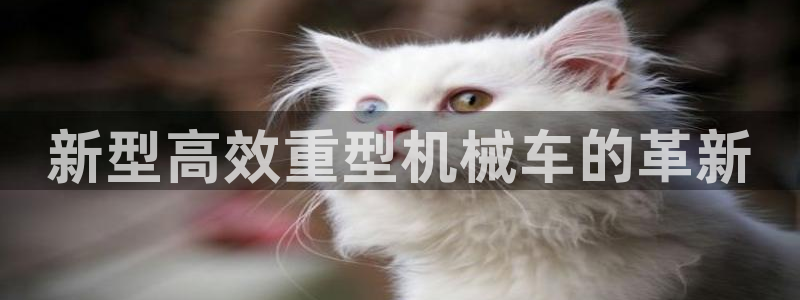 怎么举报龙八国际