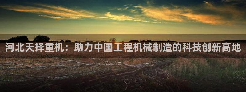 龙八国际网址是什么
