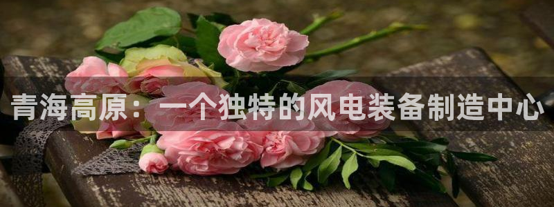 龙八国际有限责任公司