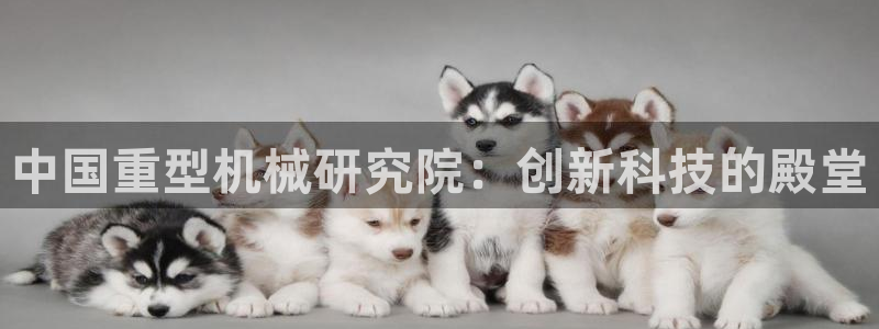 龙八国际手机下载地址