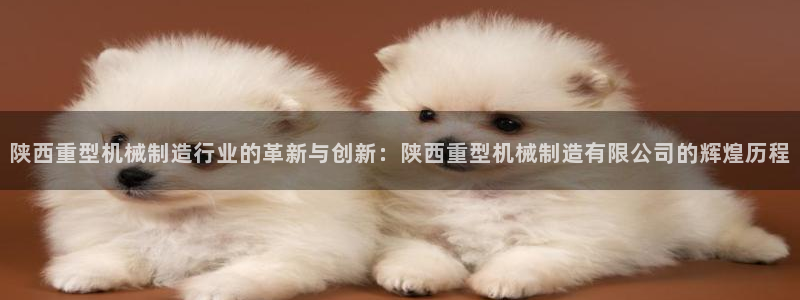 龙八国际娱乐官网多少