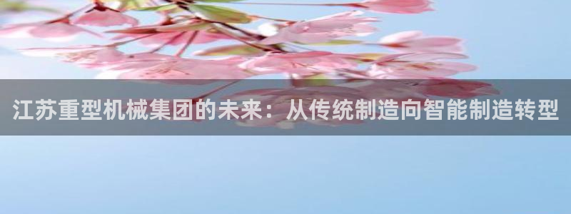 项目名称龙八国际
