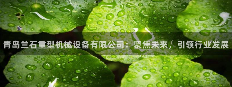 龙八国际娱乐官网手机