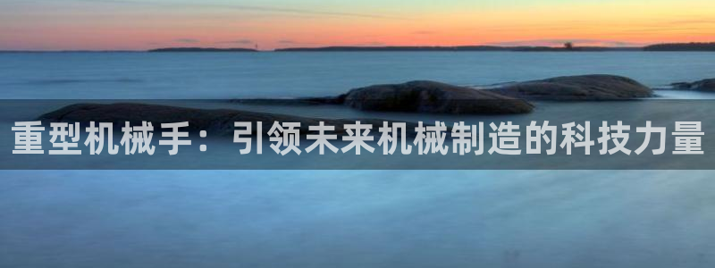 正规龙八国际