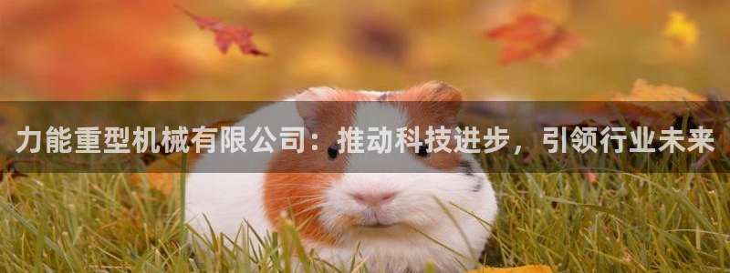 下载龙八国际手机端