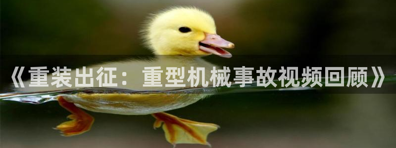 龙八国际app官方下载手机端